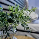 Будинок відпочинку Casa Naranjos - Terraza En El Casco Historico *