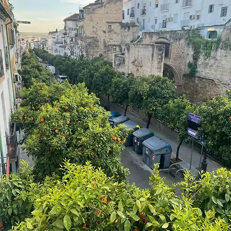 Casa Los Naranjos - Terraza En El Casco Historico Hébergement de vacances