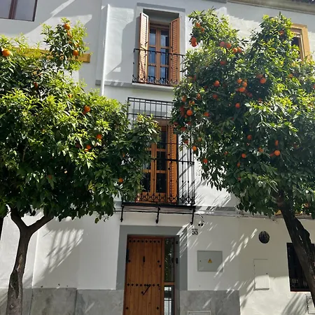 Nyaraló Casa Naranjos - Terraza En El Casco Historico Córdoba