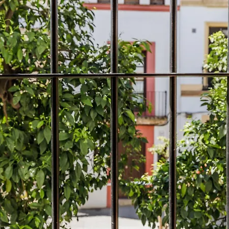 Feriehus Casa Naranjos - Terraza En El Casco Historico