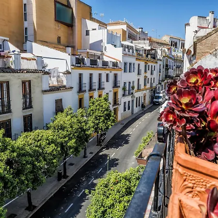 Casa Naranjos - Terraza En El Casco Historico Nyaraló Córdoba