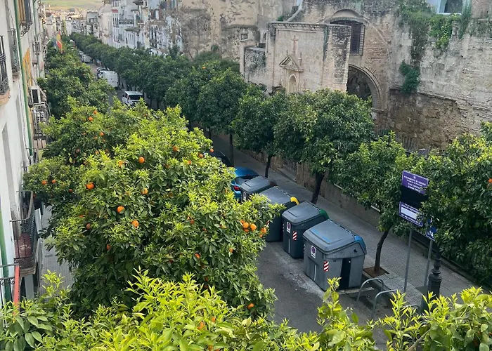 Casa Los Naranjos - Terraza En El Casco Historico Hébergement de vacances
