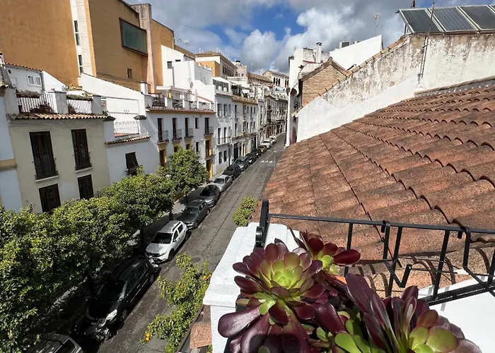 Casa Los Naranjos - Terraza En El Casco Historico Hébergement de vacances *