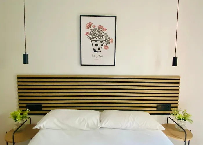 Hébergement de vacances Casa Los Naranjos - Terraza En El Casco Historico