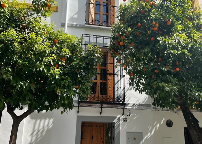 Hébergement de vacances Casa Los Naranjos - Terraza En El Casco Historico Cordoue