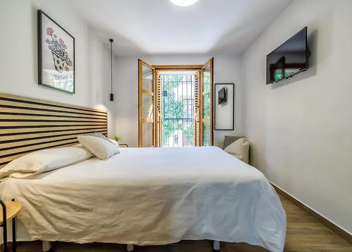 Casa Naranjos - Terraza En El Casco Historico * Córdoba