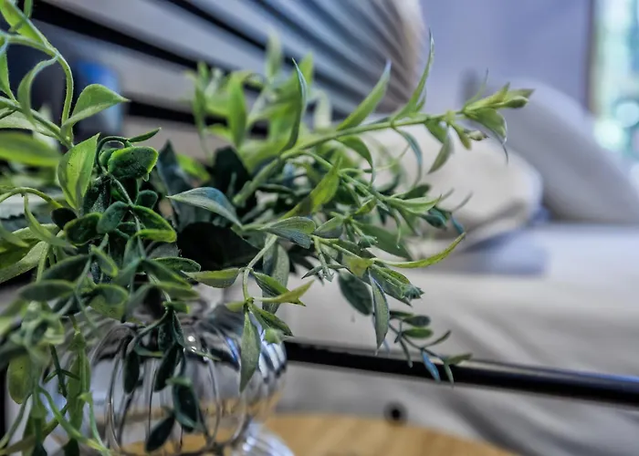 Vakantiehuis Casa Naranjos - Terraza En El Casco Historico *