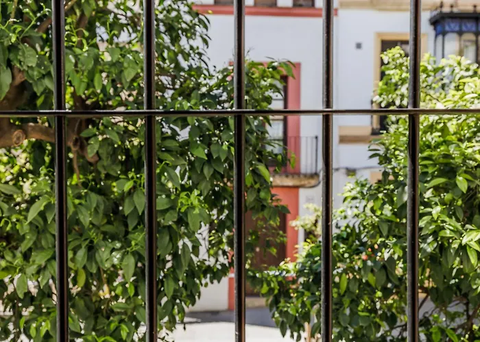 Vakantiehuis Casa Naranjos - Terraza En El Casco Historico