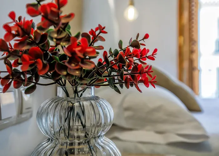 Casa Naranjos - Terraza En El Casco Historico