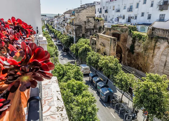 Vakantiehuis Casa Naranjos - Terraza En El Casco Historico