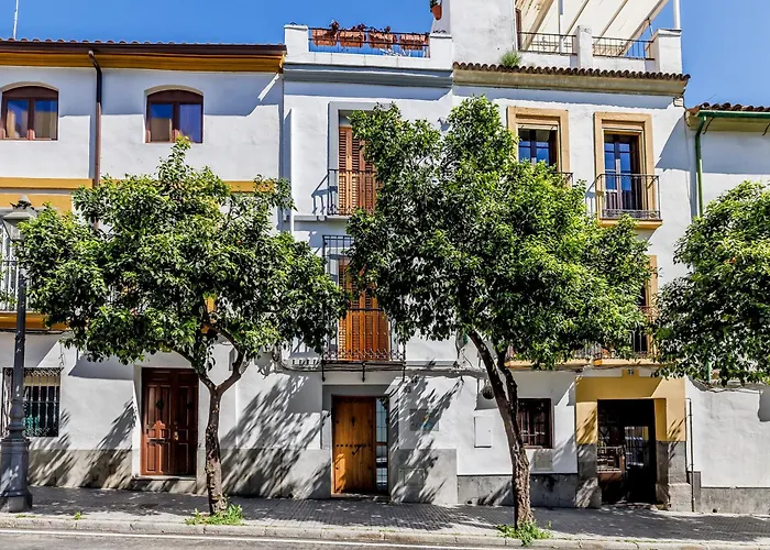 Casa Naranjos - Terraza En El Casco Historico 펜션 코르도바