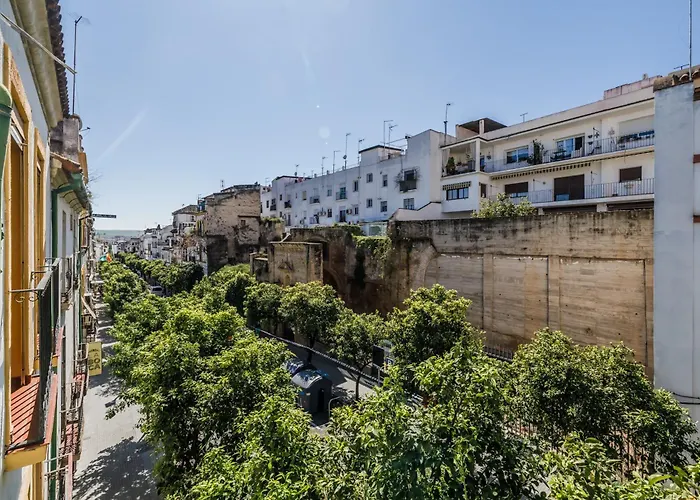 Vakantiehuis Casa Naranjos - Terraza En El Casco Historico *