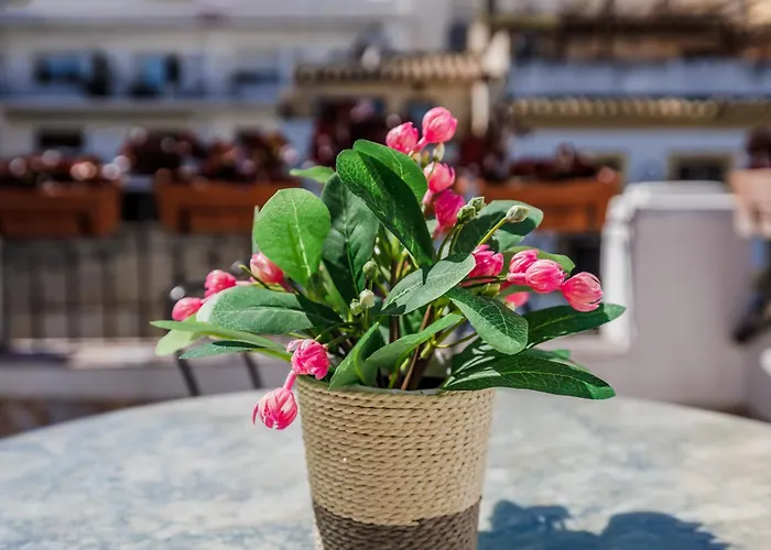Casa Naranjos - Terraza En El Casco Historico